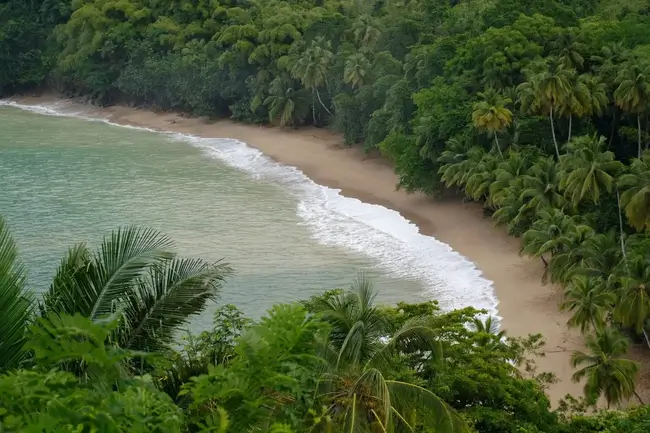 Trinidad Tobago
